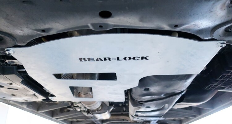 bearlock1