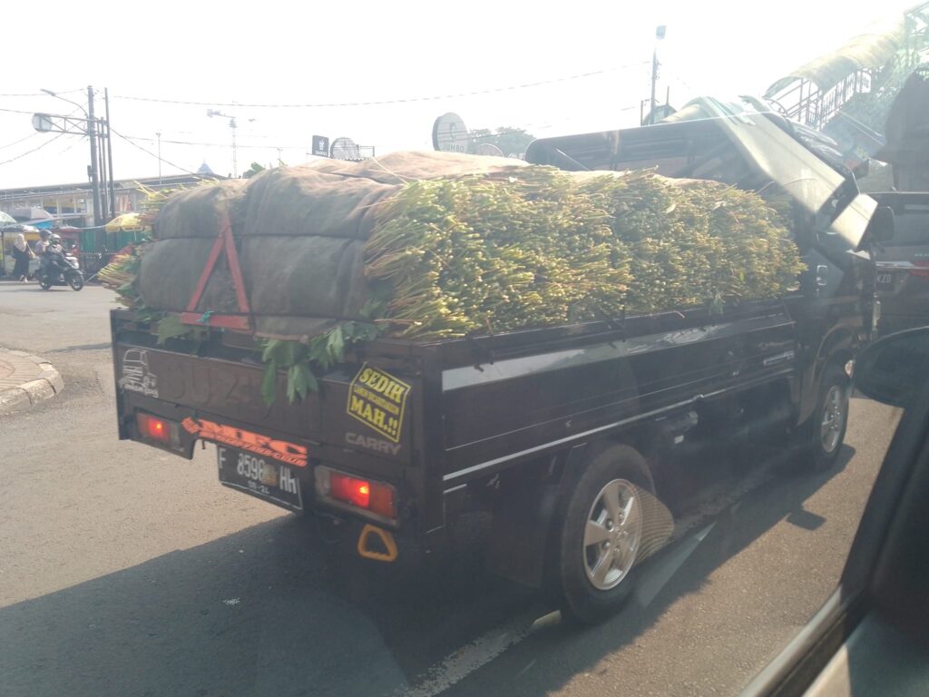 Fotoreportaż z Indonezji, fotoreportaż z Azji, ulice w Azji, jak się jeździ w Azji