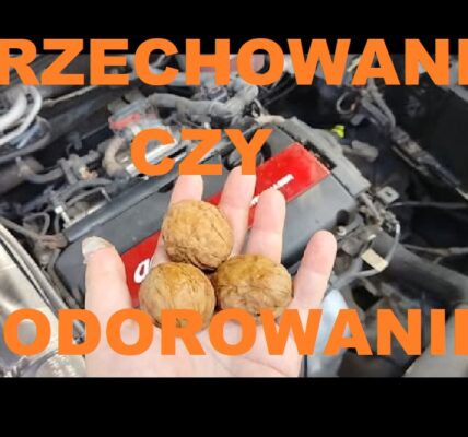 ORZECHOWANIE SILNIKA CZY WODOROWANIE SILNIKA CO LEPSZE
