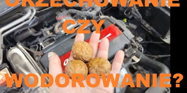 ORZECHOWANIE SILNIKA CZY WODOROWANIE SILNIKA CO LEPSZE