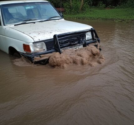 auto po powodzi diesel