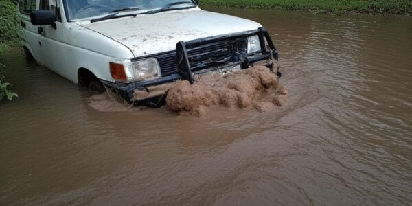 auto po powodzi diesel